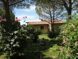 agriturismo-in-valdorcia.jpg