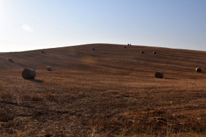 AGRITURISMO LA FRATERNITA