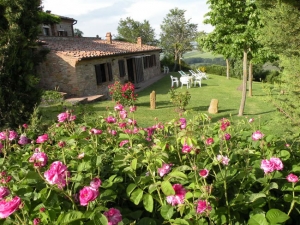 APPARTAMENTO LA ROSA